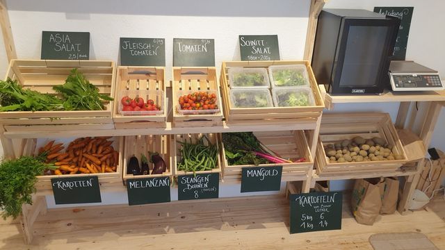 der GUTLADEN. - Unsere Gemüseauswahl in KW34 ab 25.08.2022 – Bild 5