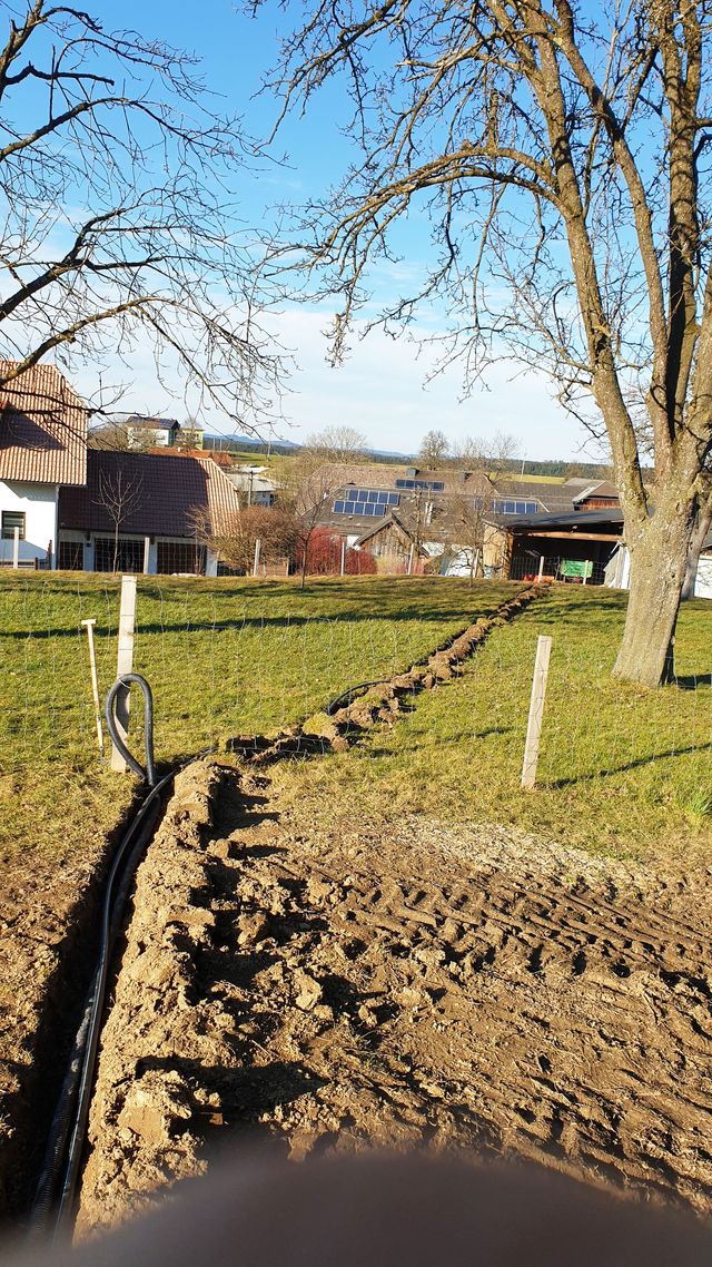 ÜBERS SÄEN, GRABEN & HÄMMERN: mit vielen Händen zum Erfolg – Bild 22