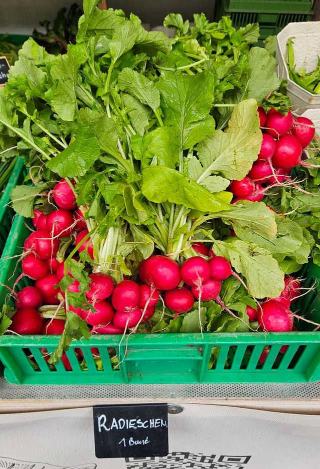 🥬 Rezepte und Bilder zur Ernte – KW24 10.06.2026 – Bild 5