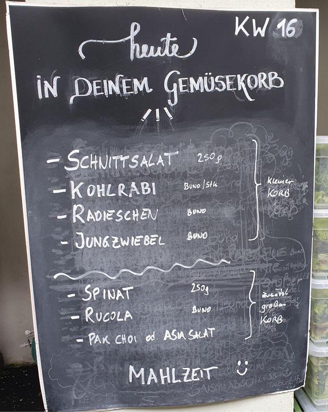 Gemüseauswahl bei saisonalem, regionalem Bio-Gemüseabo