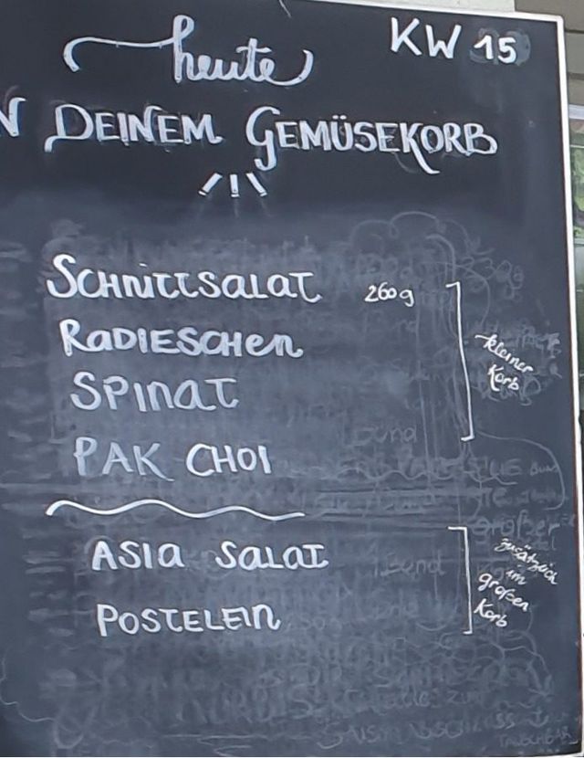 Gemüseauswahl bei saisonalem, regionalem Bio-Gemüseabo – Bild 4