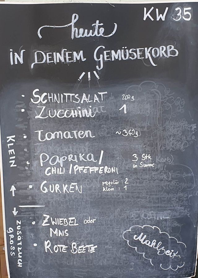 Gemüseauswahl bei saisonalem, regionalem Bio-Gemüseabo – Bild 13