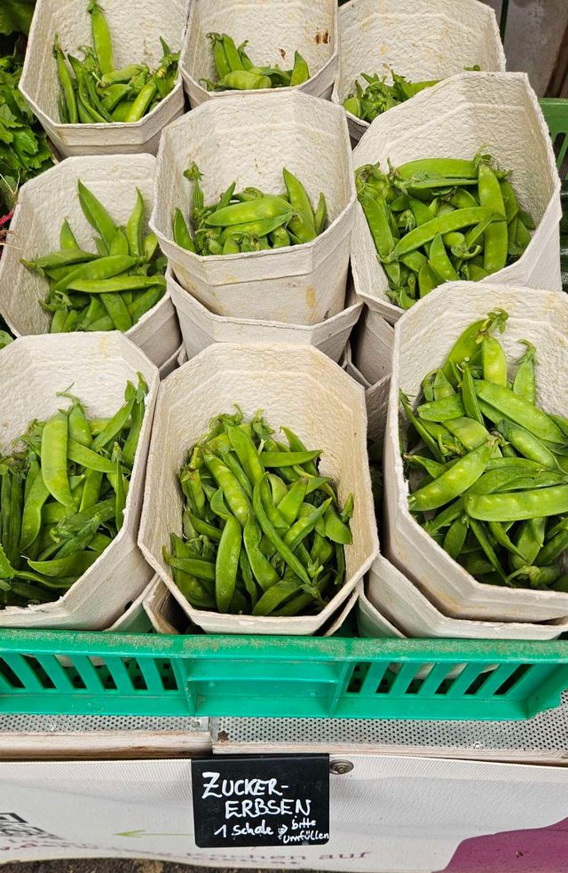 🥬 Rezepte und Bilder zur Ernte – KW24 10.06.2026 – Bild 8
