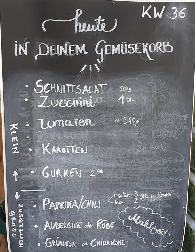 Gemüseauswahl bei saisonalem, regionalem Bio-Gemüseabo – Bild 12