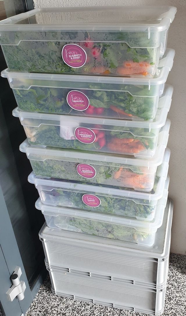 der GUTLADEN. - Unsere Gemüseauswahl in KW36 ab 08.09.2022 – Bild 7