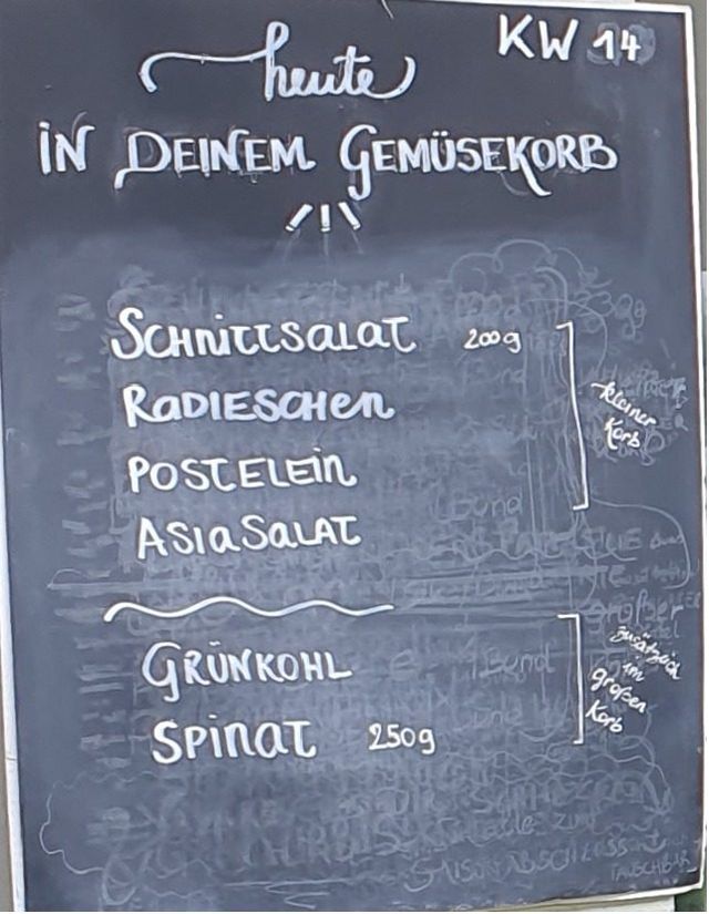 Gemüseauswahl bei saisonalem, regionalem Bio-Gemüseabo – Bild 5