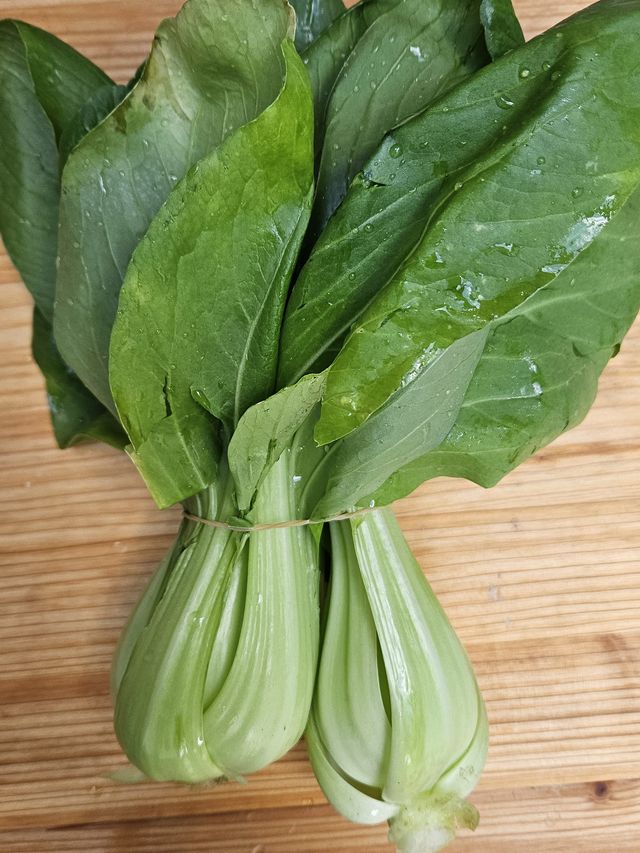 Ein Bund Pak Choi, frisch gewaschen