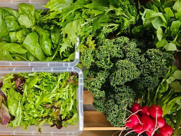 🥬 Rezepte zur Ernte – KW14 02.04.2026