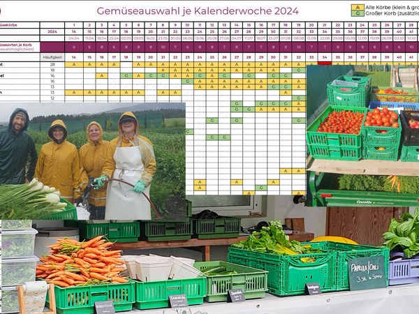 Gemüseauswahl bei saisonalem, regionalem Bio-Gemüseabo
