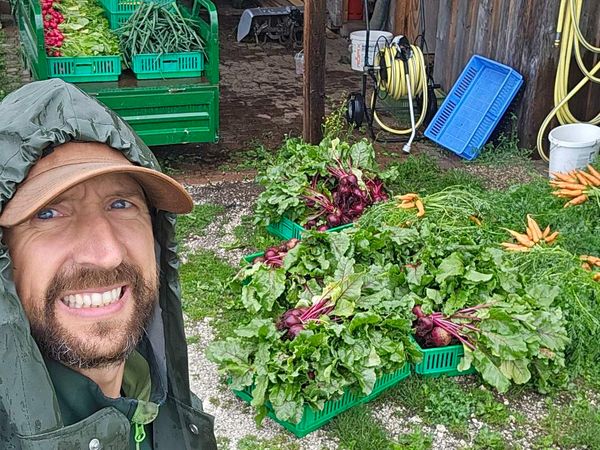 🥬 Rezepte und Bilder zur Ernte – KW24 10.06.2026